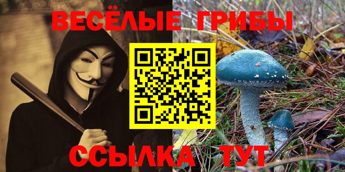 даркнет сайт  Вход с VPN  Ессентуки  Псилоцибиновые грибы Psilocybe 